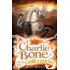 Charlie Bone And The Castle Of Mirrors
